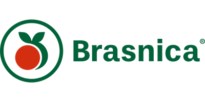 Expositor BRASNICA