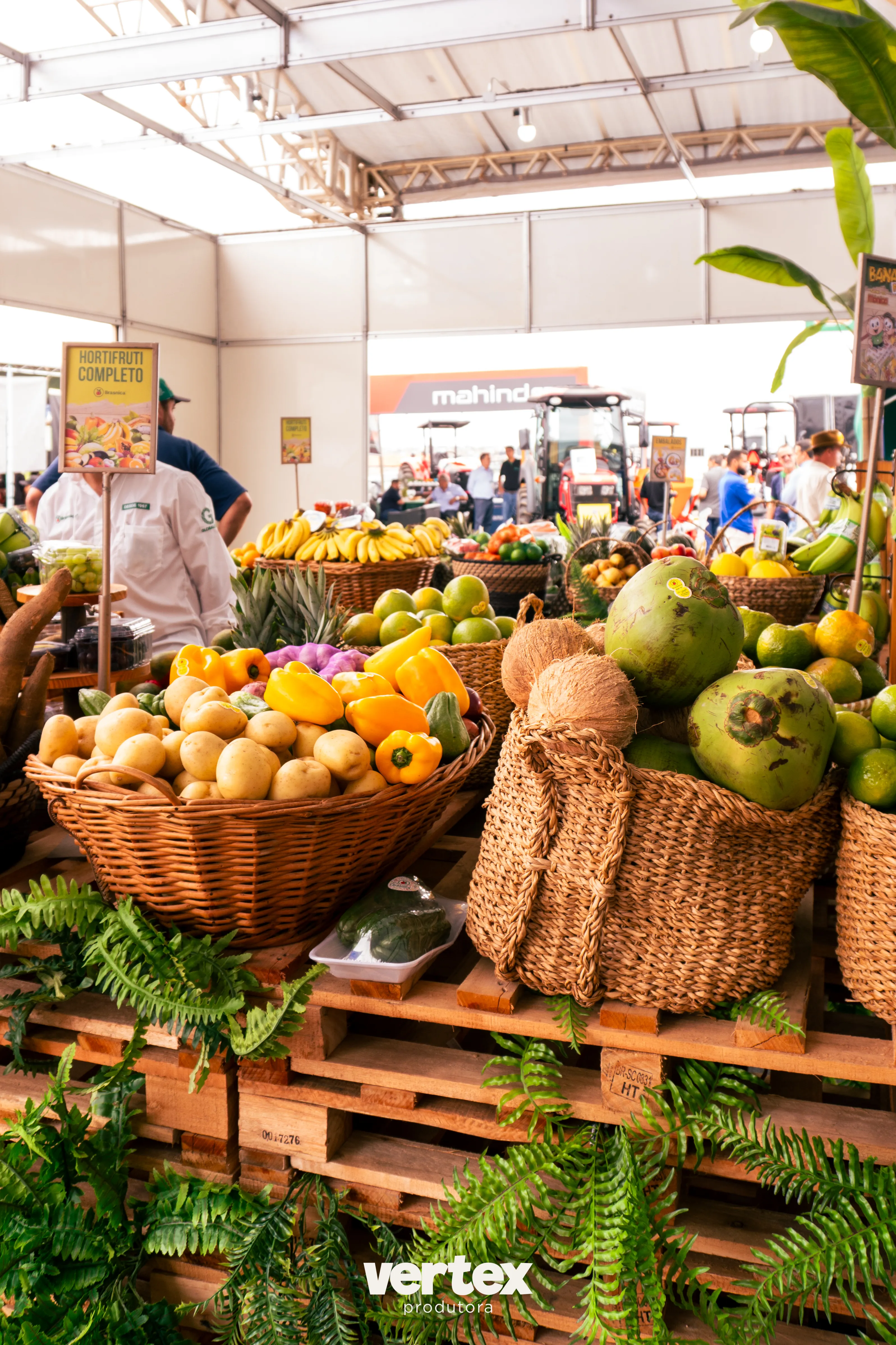 Galeria FERAGRO